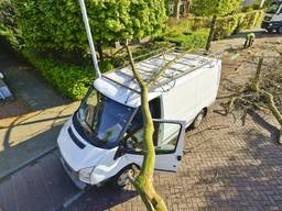 Busje zwaar beschadigd door gevallen takken, chauffeur komt met de schrik vrij