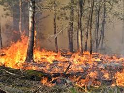 De brand ontstond dinsdagmiddag. (Foto: Toby de Kort/SQ Vision)