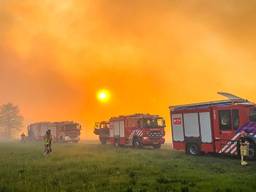 Foto: Sem van Rijssel/SQ Vision