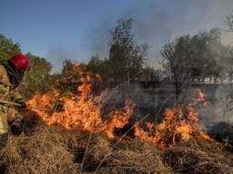 Foto uit het boek over de grootste natuurbrand in Nederland. (Foto: Defensie)