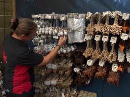 Ook al is het 35 graden, de kerstballen moeten worden aangevuld. (foto: Omroep Brabant)