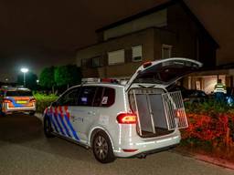 Beeld van na de beschieting (foto: SQ Vision Mediaprodukties).