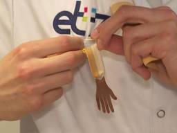 Honderd verpleegkundigen van het ETZ in Tilburg ontvangen de Hand Medal.