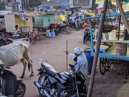 De jonge vrouw is op reis in India (foto: Pexels).