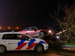 Massaal achtervolgde man crasht tegen boom in Wijk en Aalburg