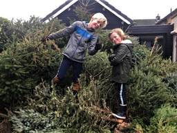 Naut (links) en Dex op hun enorme stapel bomen (foto: Karin Dubbelman-van Onzenoort). 