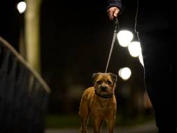 De avondklok gaat in vanaf zaterdag 23 januari (foto: ANP). 