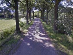 De golden retriever werd aangevallen op de Schoutse Vennen in Nuenen (beeld: Google Maps).