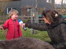 Extra journalisten voor nog betere regionale journalistiek.