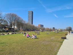 Het Spoorpark in Tilburg (foto: Noël van Hooft).