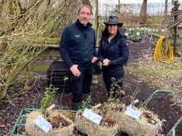 Peter en Pascale van kwekerij Lowgardens.