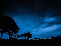 Foto: Remko Willems