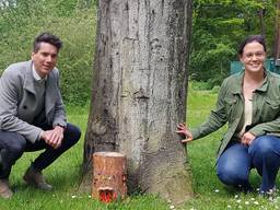 Wethouder Jeffrey van Agtmaal en Kelly Wanrooy zijn blij met de terugkeer van de kabouters. (Foto: Gemeente Woensdrecht)