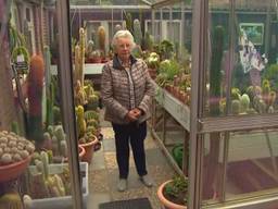 Betsie en haar cactussen (foto: Brabants Buske). 