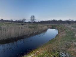 De Bundertjes in Helmond (foto: Google Streetview).