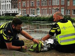 De politie verzorgde de ree (foto: politie). 