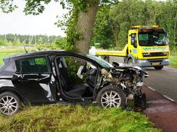 Auto ramt boom in Oudenbosch: drie gewonden