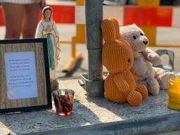 In september werd een moeder vermoord die in Den Bosch met een kinderwagen wandelde (foto: Eva de Schipper).