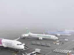 Het vliegverkeer op Eindhoven Airport lag weer plat door de dichte mist.