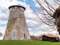 Molen de Schuddebeurs (foto: Staal Makelaars).