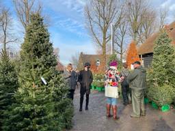 Drukte bij kerstbomenhandelaar in Nuenen