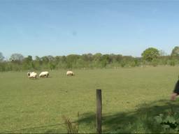 Waarschijnlijk druk weekend Pasen dankzij mooie weer