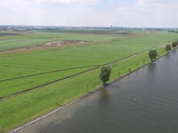 Dijken omlaag tegen hoog water bij Overdiepse polder in Waspik