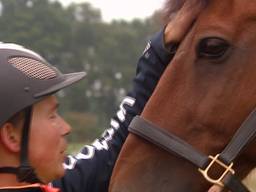 Tim Lips laat zijn paard Oncarlos met pensioen gaan.