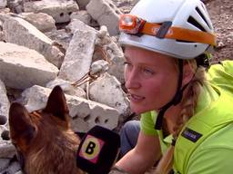 Honden redden mensen uit puin in Bergen op Zoom