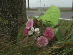 Bloemen gelegd Langeweg