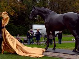 Dressuurpaard Salinero krijgt standbeeld, trainer Sjef Janssen een lintje