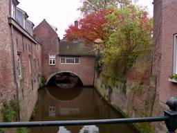 Woensdag verkiezingen in Den Bosch