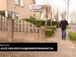 Reisadviseur aan huis steeds populairder