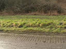 Koninklijk Huis aanwezig bij première liniecrossers film Biesbosch onder Vuur