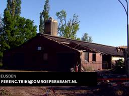 Tornado richt veel schade aan bij kippenhouderij en komkommerkwekerij in Heusden