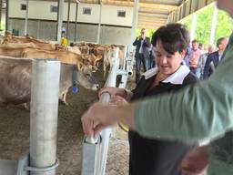 Modernste biologische melkveehouderij staat in Kaatsheuvel