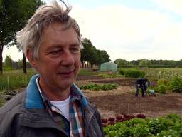 De Buurttuin Brandevoort  is al een jaar een ontmoetingsplek voor inwoners van Helmond.