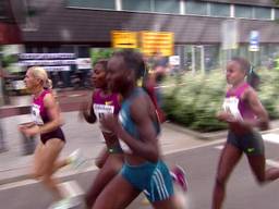 Tilburg Ten Miles 2015 1