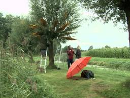 De achtste aflevering van LandArt Diessen: 20 kunstenaars exposeren in de natuur bij Diessen