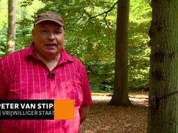 He's back: de boommarter in Oost Brabant