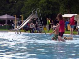 Afsluiting van de zomer: honden zwemmen in zwembad Valkenswaard