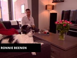 Brabanders zetten massaal de deur open tijdens Open Huizen Dag