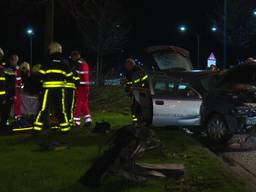 Automobilist raakt van Midden-Brabantweg in Waalwijk en rijdt meerdere bomen uit de grond