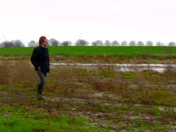 Nieuwe wildernis langs Hemelrijkse Waard bij Oijen