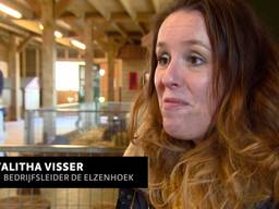 Lease-cavia is een uitkomst voor baasjes op proef