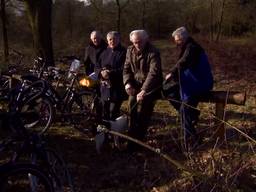 De wisent is weer in Brabant