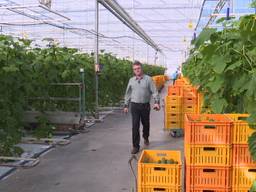 Boeren en versproducenten in Roosendaal beginnen eigen winkel