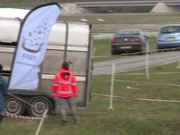 Kolossale zwaargewichten gaan de Noordwaard in de Biesbosch kortwieken