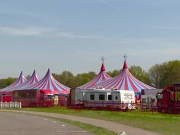 Circus-inboedel onder de hamer