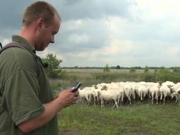 Hippe herder Boris laat van zich horen op Facebook